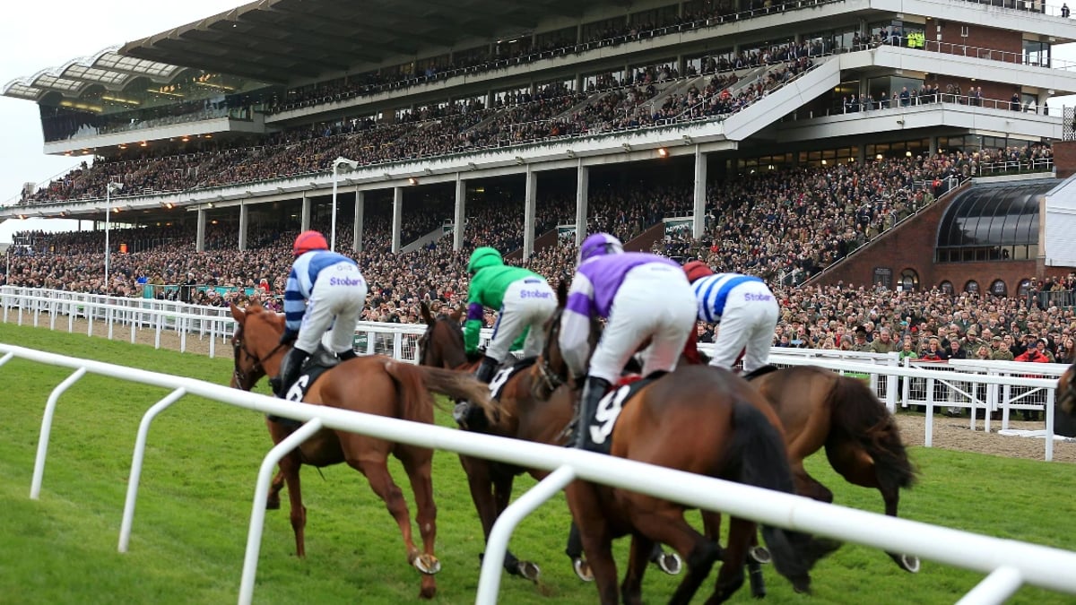 Cheltenham 2025: How Many Winners Will Team GB Have?