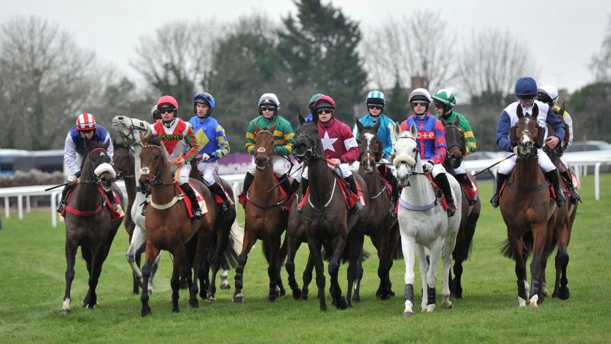 Tony Keenan's Three Best Bets For Cheltenham 2025 Tony Keenan's Three Best Bets For Cheltenham 2025