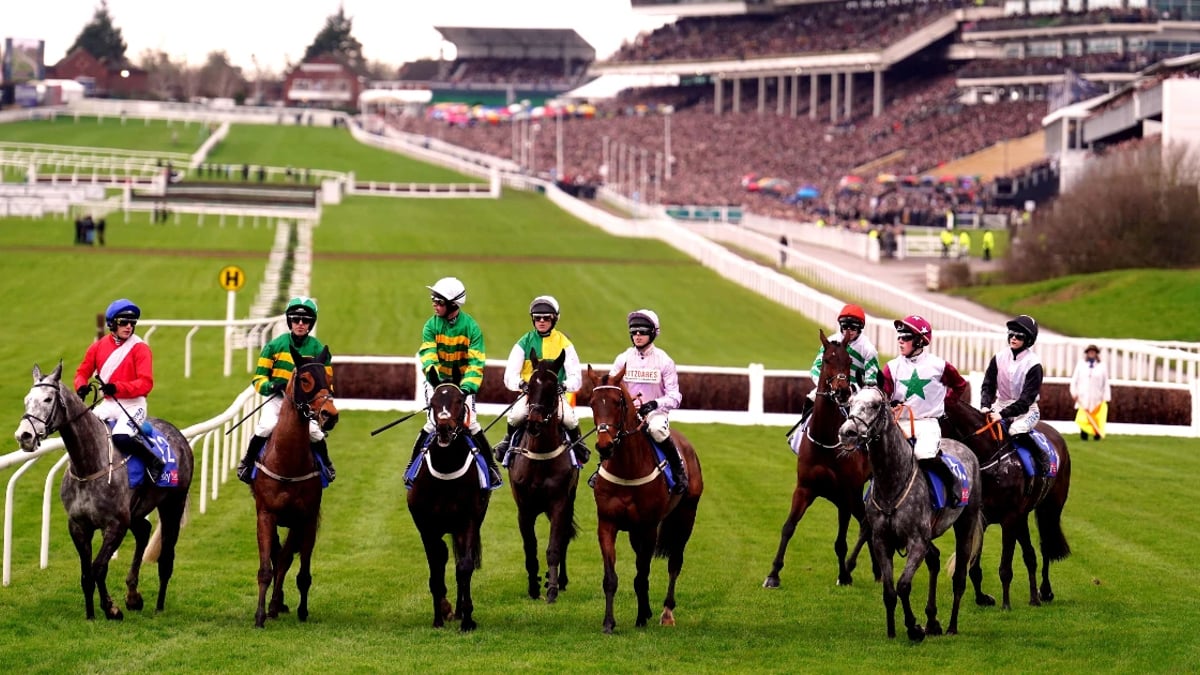 Cheltenham 2025: Supreme Novices' Hurdle Race Trends Cheltenham 2025: Supreme Novices' Hurdle Race Trends