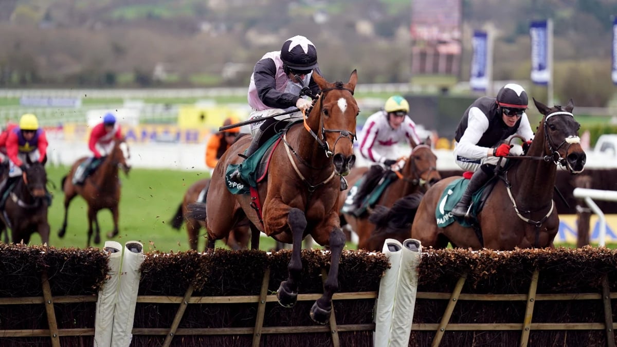 Cheltenham 2025: Stayers' Hurdle Trends You Should Consider Cheltenham 2025: Stayers' Hurdle Trends You Should Consider
