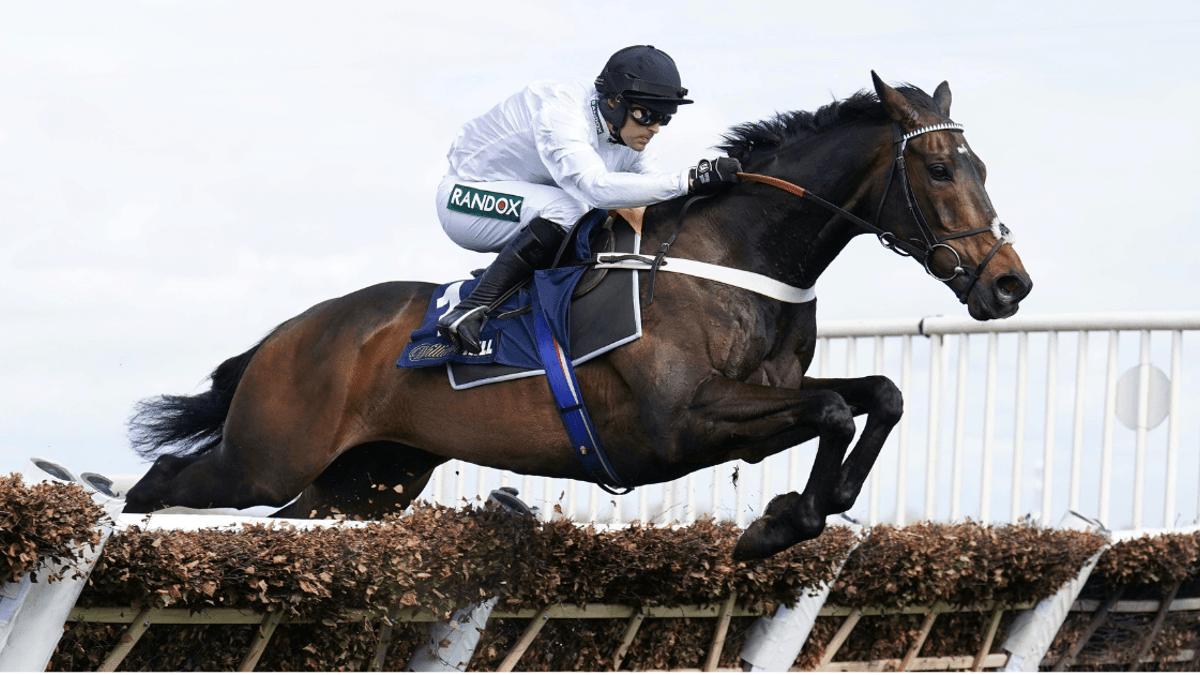 Constitution Hill Eyes Group 3 Glory – How Far Can Racing's Star Horse Go? Constitution Hill Eyes Group 3 Glory – How Far Can Racing's Star Horse Go?