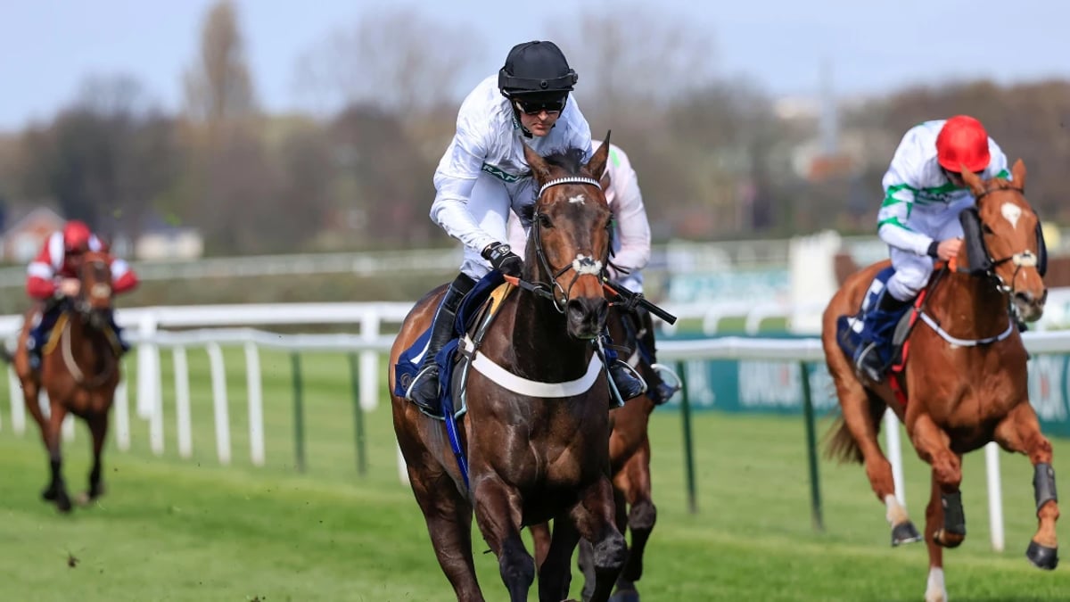 Punchestown Festival Tips: Best Bets For Friday Punchestown Festival Tips: Best Bets For Friday