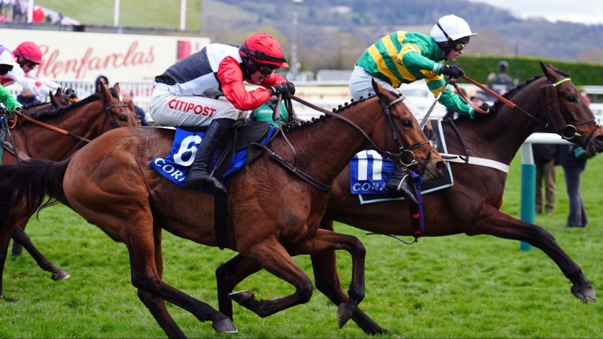 Coral Cheltenham Offers for the Gold Cup: Claim £20 Free Bets for Day 4