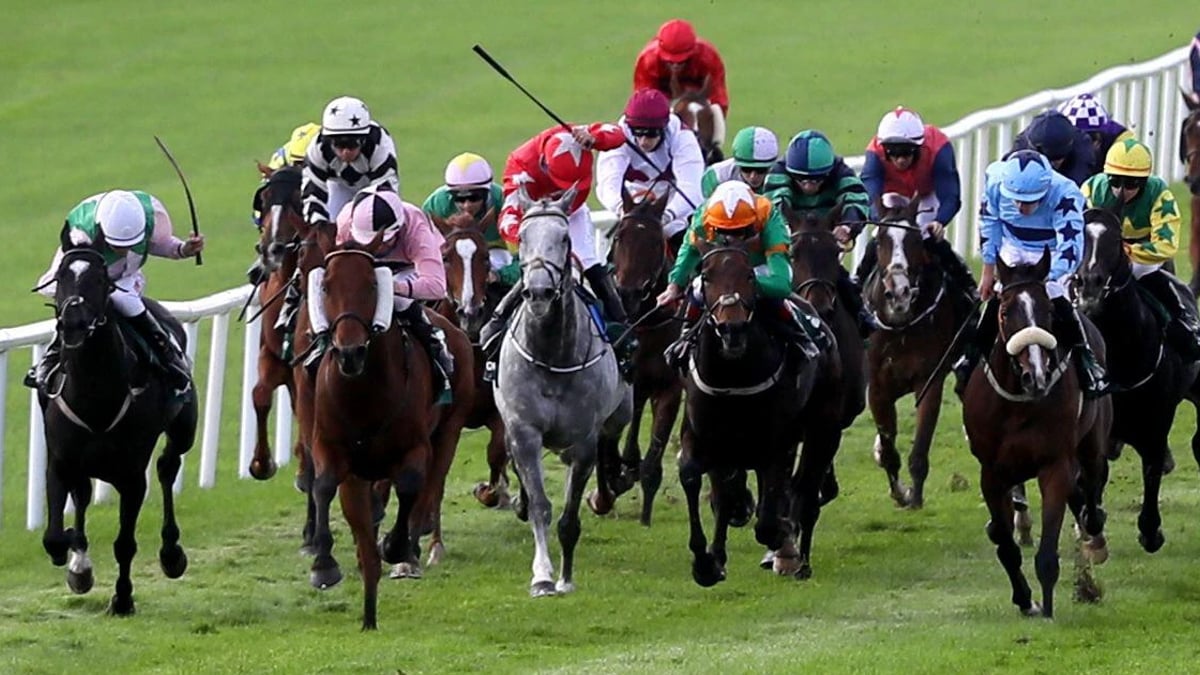 Irish Weekend Racing Tips: Three Bets For The Curragh On Saturday Irish Weekend Racing Tips: Three Bets For The Curragh On Saturday