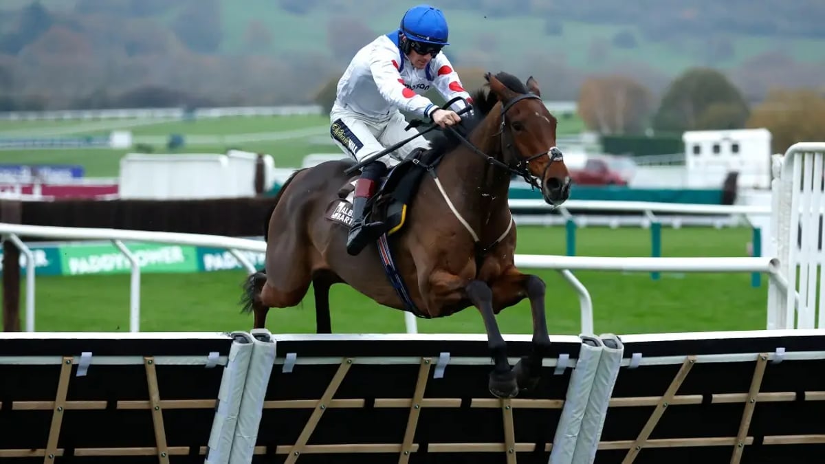 Cheltenham Festival 2025 Odds: Tips For Every Race On Day 2 Cheltenham Festival 2025 Odds: Tips For Every Race On Day 2