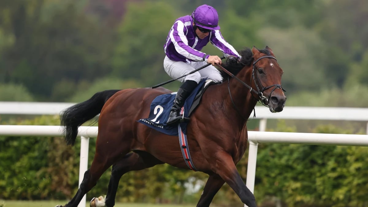 Saturday Racing Tips - Delacroix Could Surprise In Eclipse Saturday Racing Tips - Delacroix Could Surprise In Eclipse