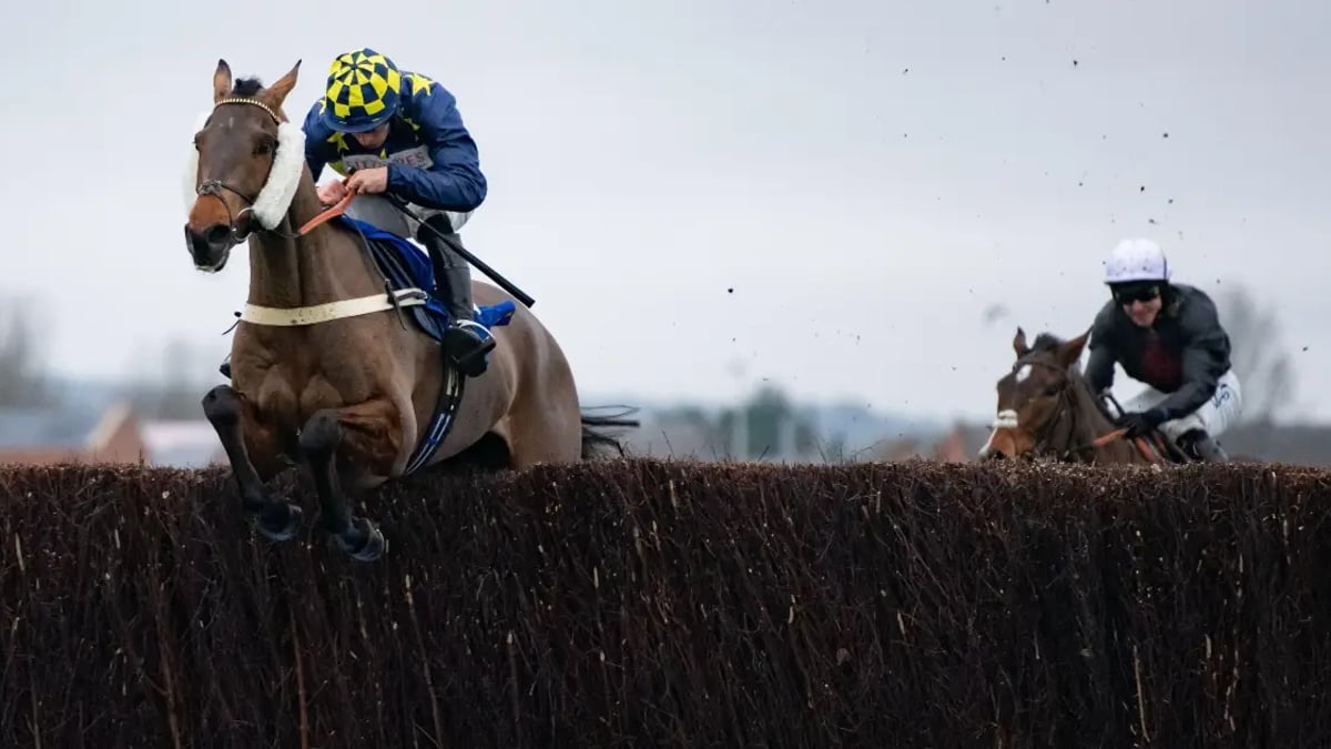 Diarmuid Nolan's Lucky 15 For 2025 Cheltenham Festival Diarmuid Nolan's Lucky 15 For 2025 Cheltenham Festival