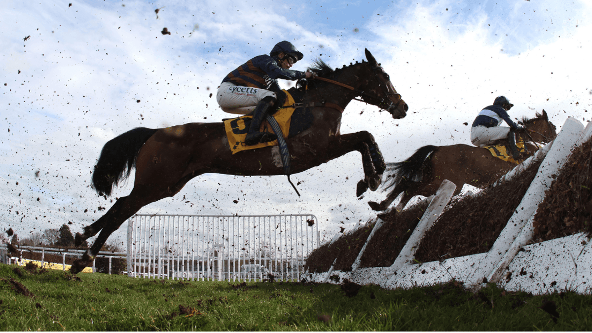 Cheltenham Festival 2025 Odds: Our Lucky 15 For Day 3 Cheltenham Festival 2025 Odds: Our Lucky 15 For Day 3