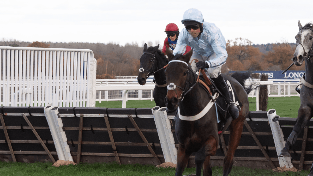 Horse Racing Tips: Tanya Stevenson's Selections For Ascot, Haydock And Windsor Horse Racing Tips: Tanya Stevenson's Selections For Ascot, Haydock And Windsor