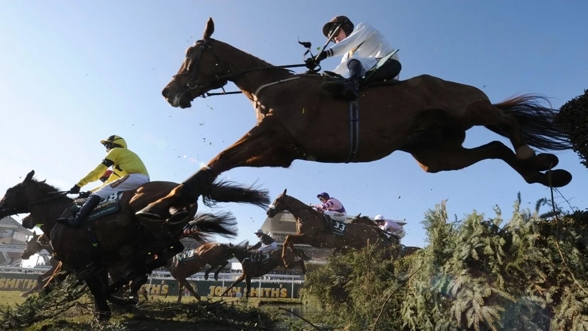 Cheltenham Gold Cup/Grand National Double Chasers 2025 Cheltenham Gold Cup/Grand National Double Chasers 2025