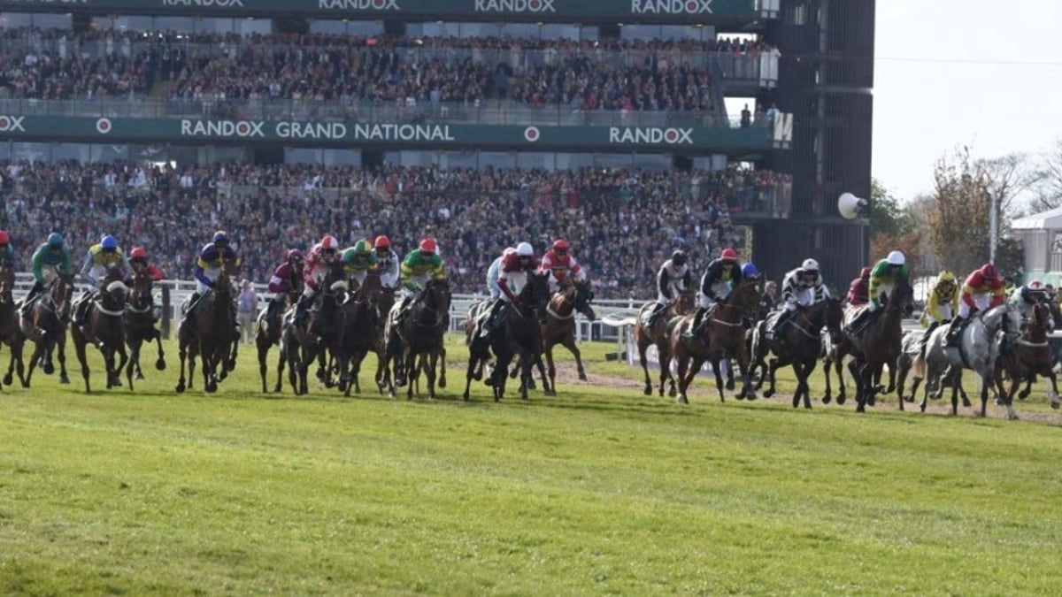 horses racing at Grand National