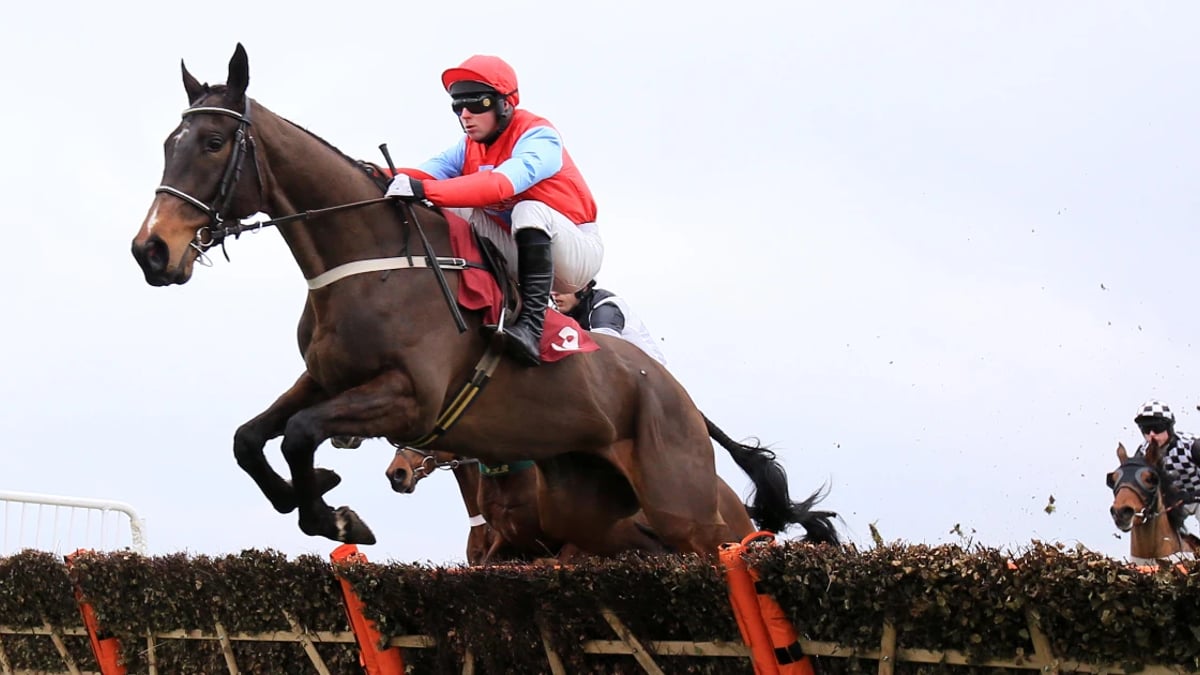 Grand National Trial Handicap Chase: Where To Watch Horse Racing Online Grand National Trial Handicap Chase: Where To Watch Horse Racing Online