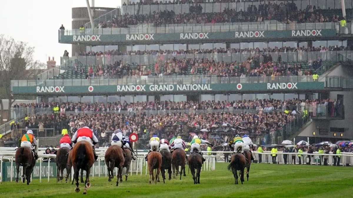 Grand National 2025: How Lucky Is Your Sweepstake Number? Grand National 2025: How Lucky Is Your Sweepstake Number?