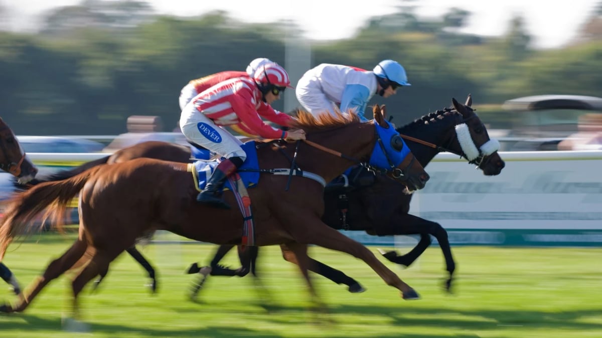 Horse Racing Tips: Boosted Acca For Saturday&#039;s Action