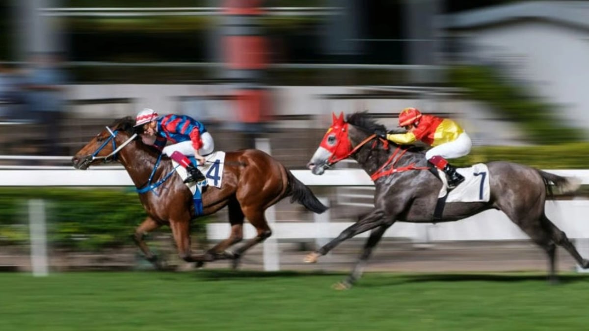 Horse race photo finish