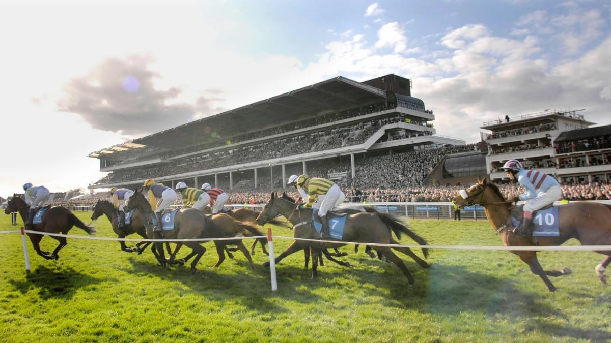 Cheltenham 2025: Champion Hurdle Trends You Should Not Ignore