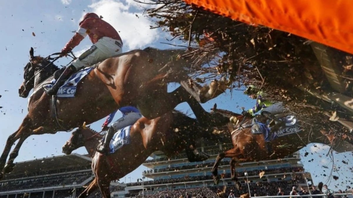 Horse Racing Terms Explained: An A-Z Glossary Horses jumping over a hurdle in a race