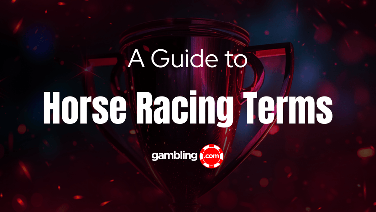 Horse Racing Terms Explained: An A-Z Glossary Horse Racing Terms Explained: An A-Z Glossary