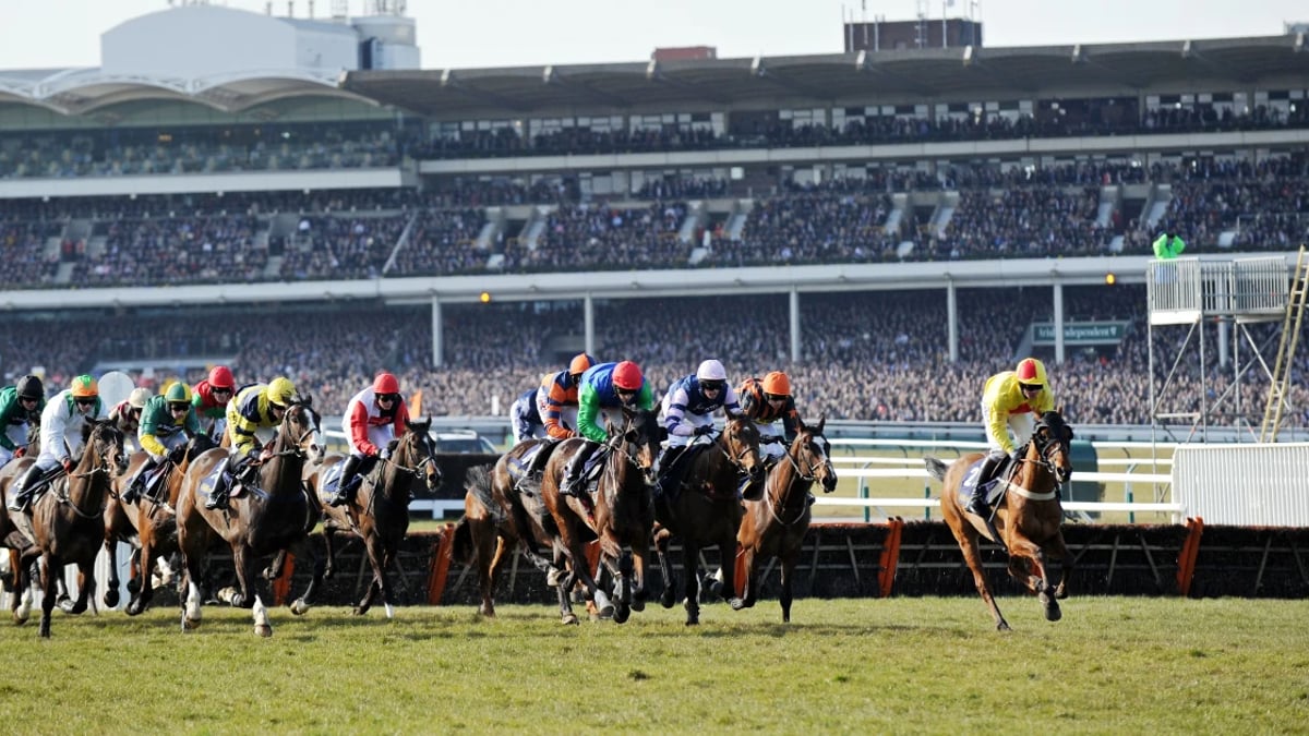 Cheltenham Festival 2025: Horses For Courses Cheltenham Festival 2025: Horses For Courses