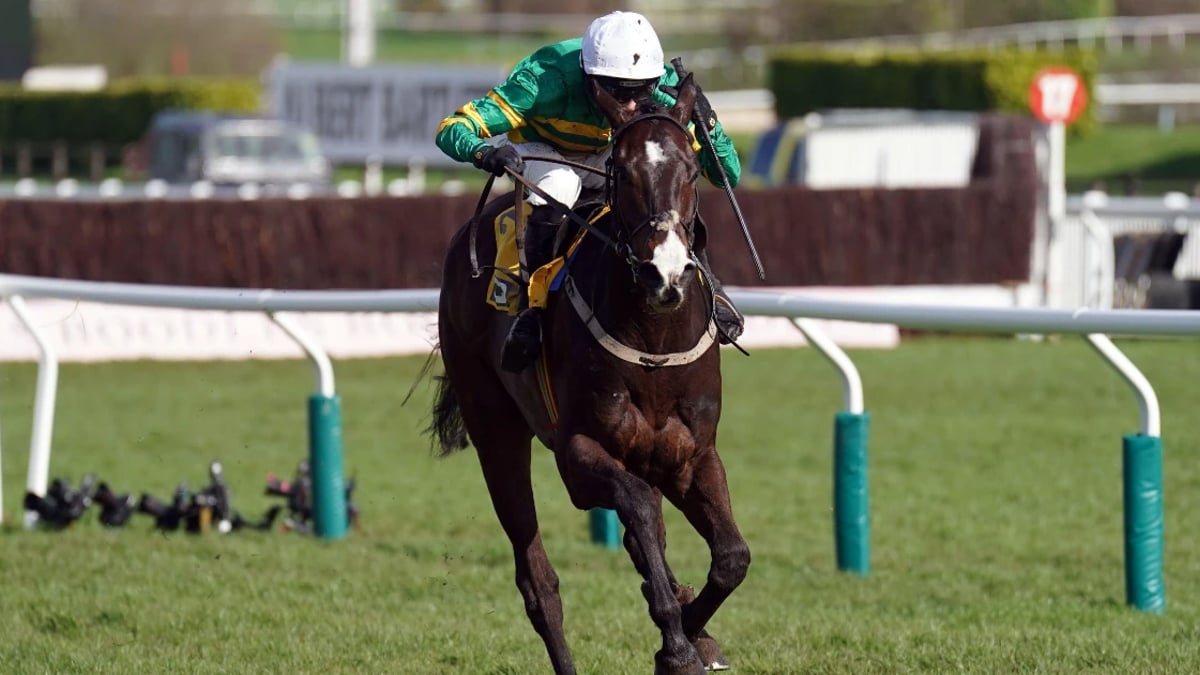 Irish Arkle Novice Chase: Where To Watch Horse Racing Irish Arkle Novice Chase: Where To Watch Horse Racing
