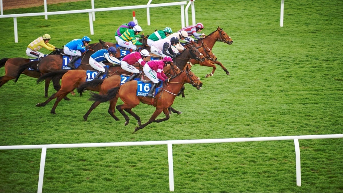 Best Cheltenham Free Bets & Offers For Irish Punters on Day 1 Best Cheltenham Free Bets & Offers For Irish Punters on Day 1