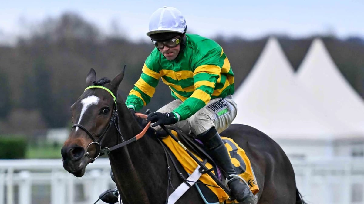 Jonbon Hot Champion Chase Favourite After Weekend Romp Jonbon Hot Champion Chase Favourite After Weekend Romp