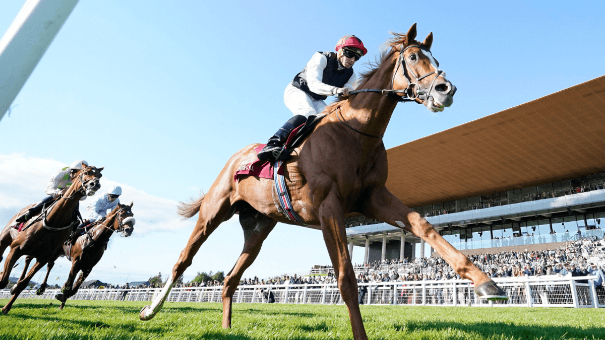 Donn McClean: What I Learned From The Irish Champions Festival Donn McClean: What I Learned From The Irish Champions Festival