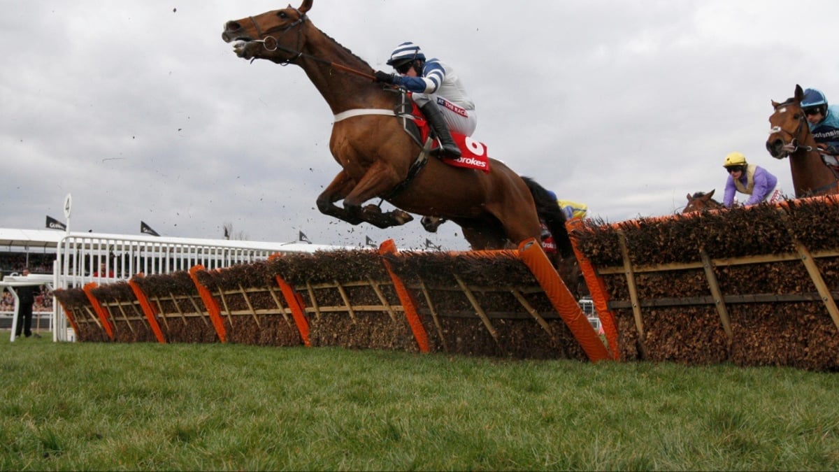 Ladbrokes Cheltenham Offer For The Gold Cup: £20 in Free Bets For Day 4 Ladbrokes Cheltenham Offer For The Gold Cup: £20 in Free Bets For Day 4