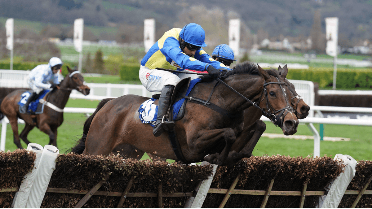 Cheltenham Day 2 Handicap Tips With Extra Each-Way Places Cheltenham Day 2 Handicap Tips With Extra Each-Way Places
