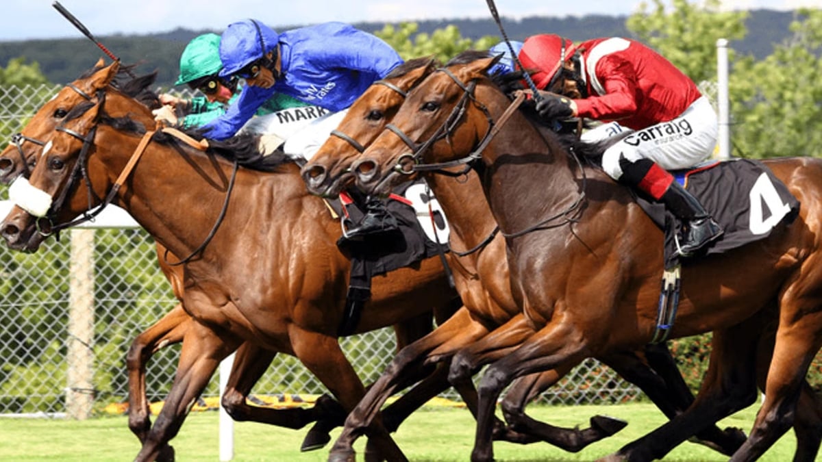 Comprehensive Guide to Lay Betting Strategy