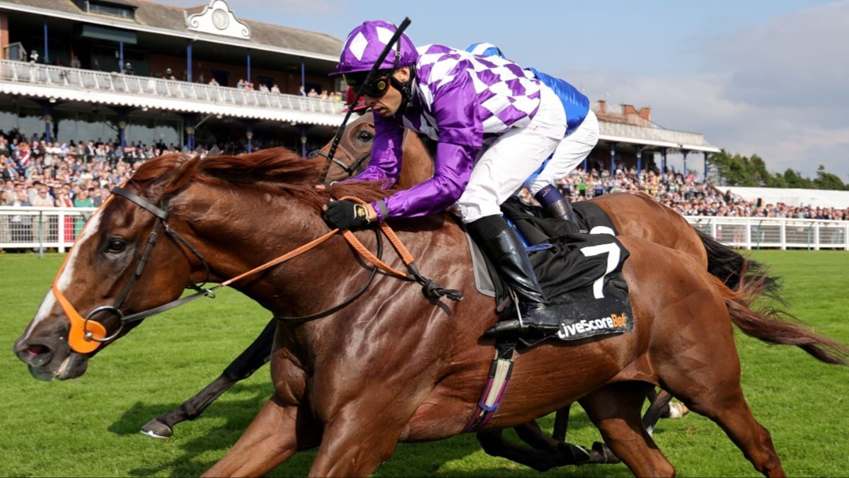LiveScore Bet Cheltenham Offers: Claim £30 in Free Bets on Day 3