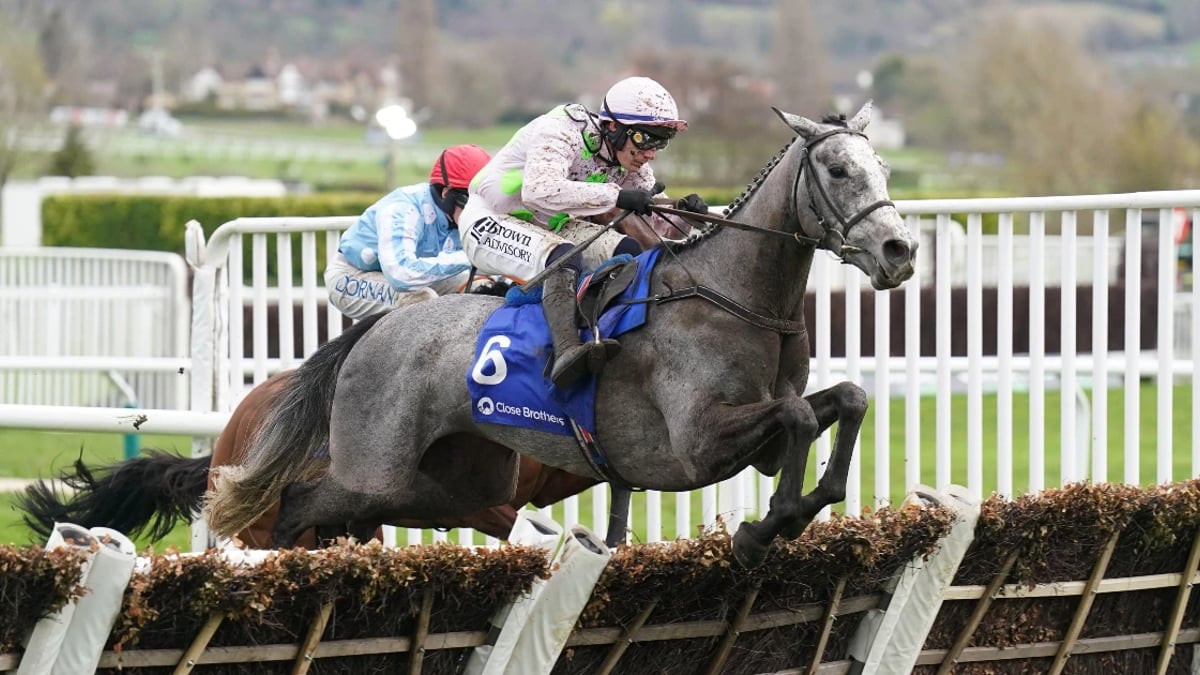 Which Race Will Lossiemouth Run In At Cheltenham? Which Race Will Lossiemouth Run In At Cheltenham?