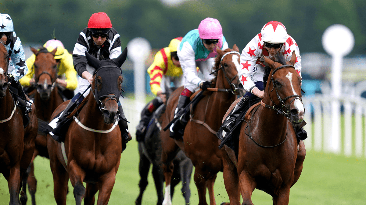 Horse Racing Tips: Boosted Treble For Saturday Horse Racing Tips: Boosted Treble For Saturday