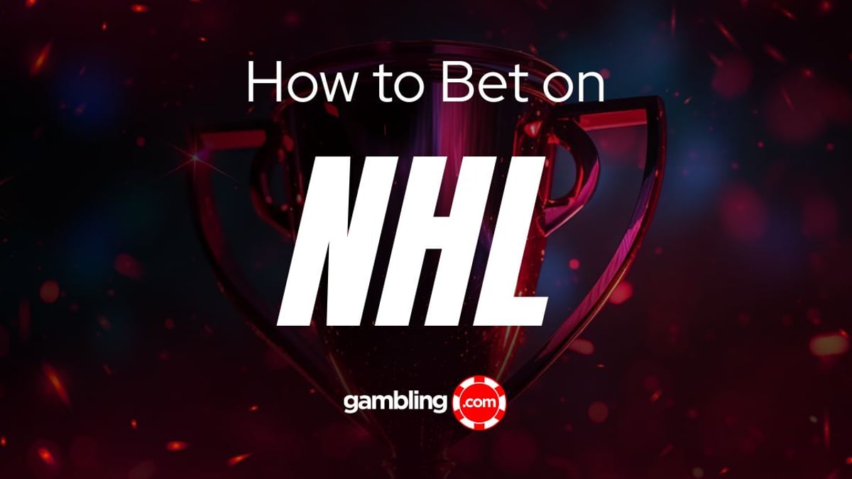 Hockey Betting Guide: The Basics of NHL Betting