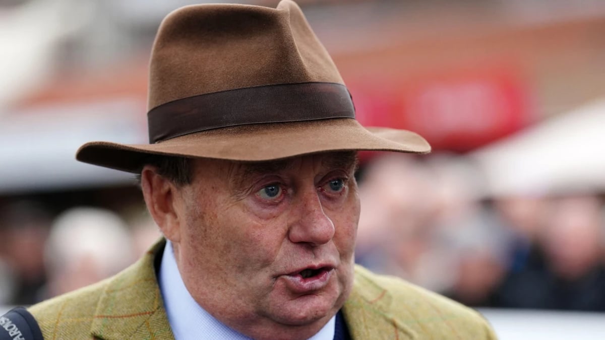 Nicky Henderson Offers Up Two Big-Priced Plays From His Cheltenham Entries Nicky Henderson Offers Up Two Big-Priced Plays From His Cheltenham Entries