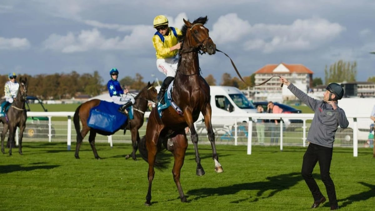 What is Non-Runner No Bet? NRNB Meaning Explained horse at a race track rearing up on hind legs