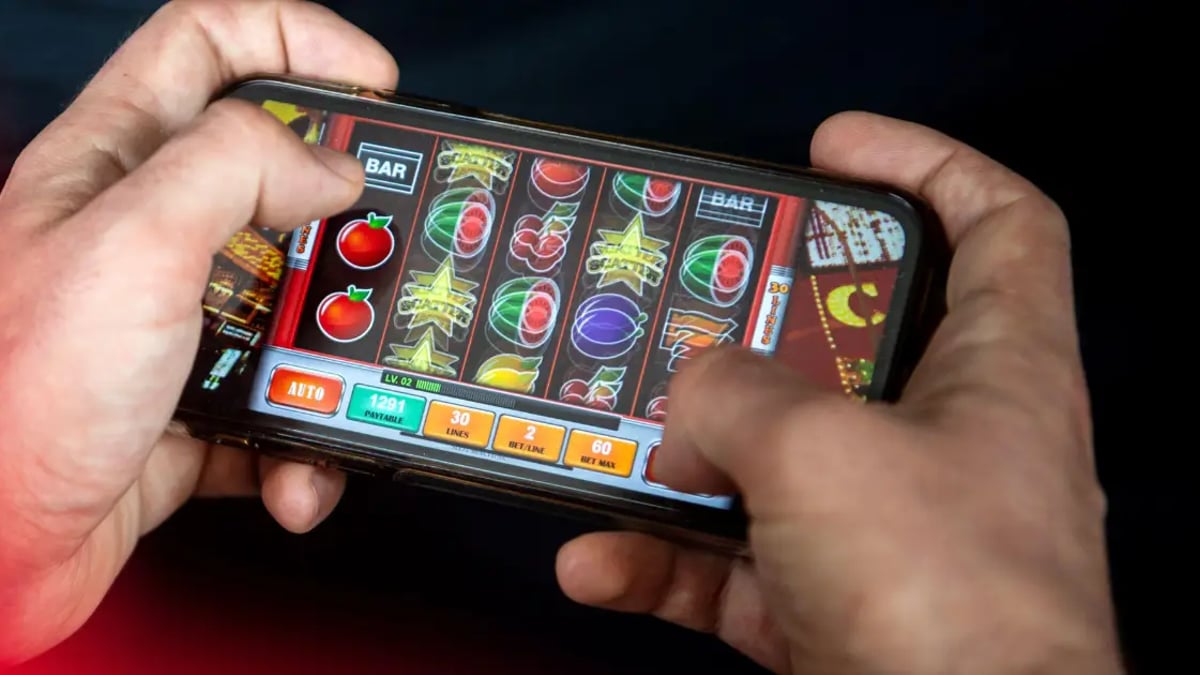 Pragmatic Play Studio Launches Bingo Mania Online Slot Game Pragmatic Play Studio Launches Bingo Mania Online Slot Game