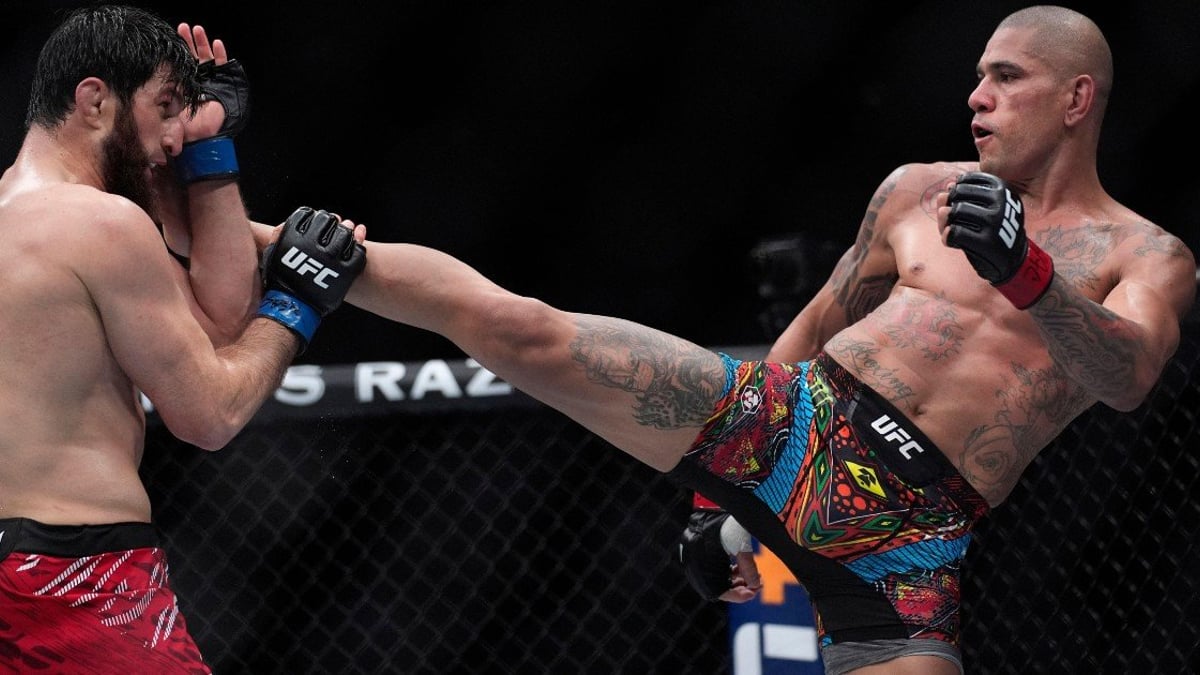 Pereira x Ankalaev 2: Confira Odds e Apostas UFC 320 apostas UFC Pereira x Ankalaev