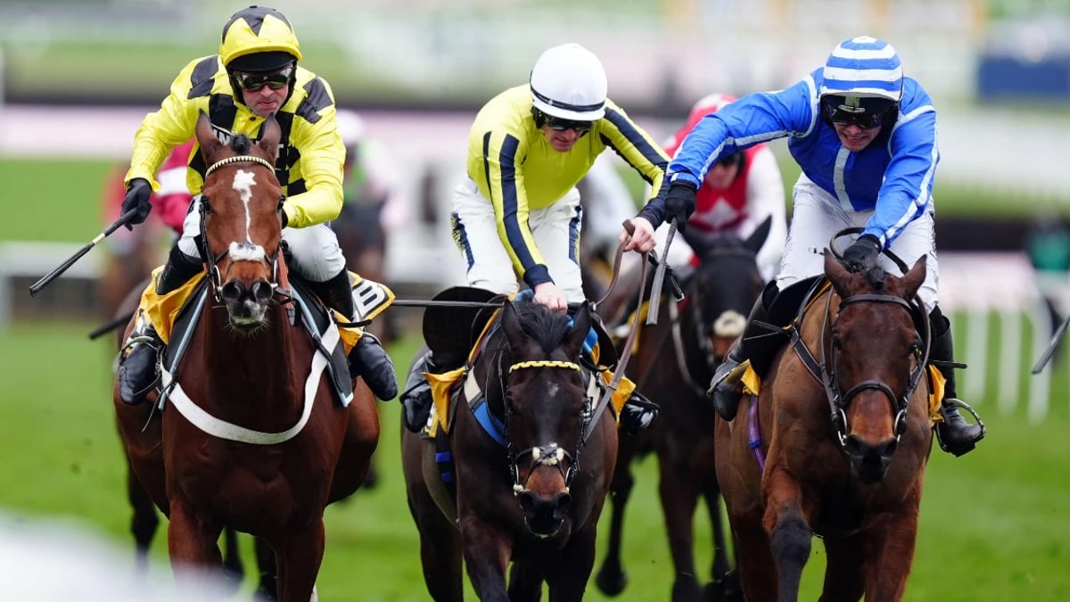 Punchestown Festival Tips: Best Bets On Saturday Punchestown Festival Tips: Best Bets On Saturday
