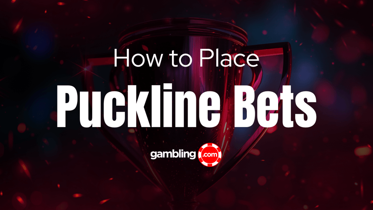 What is a Puck Line? Puck Line Bets Explained