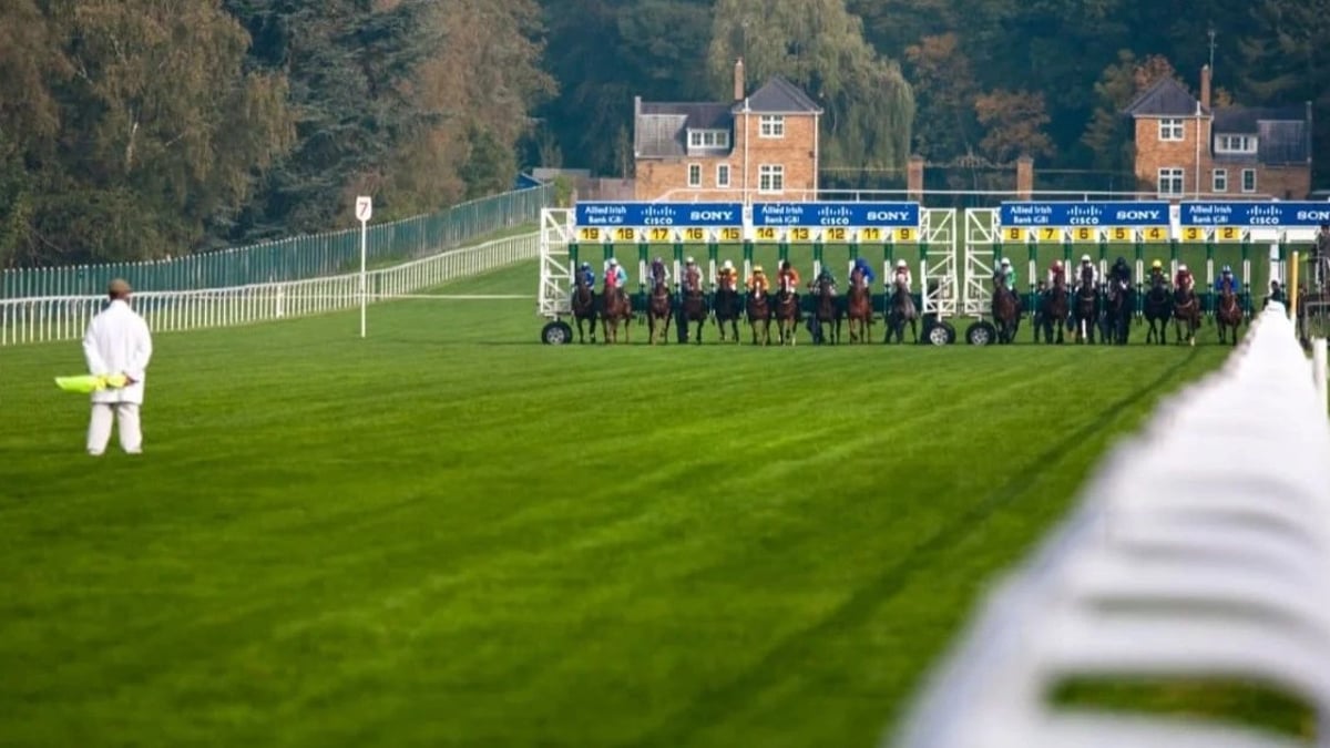 Rule 4 Explained: How Rule 4 Deductions Work Horses bursting out of the starting gate at a race