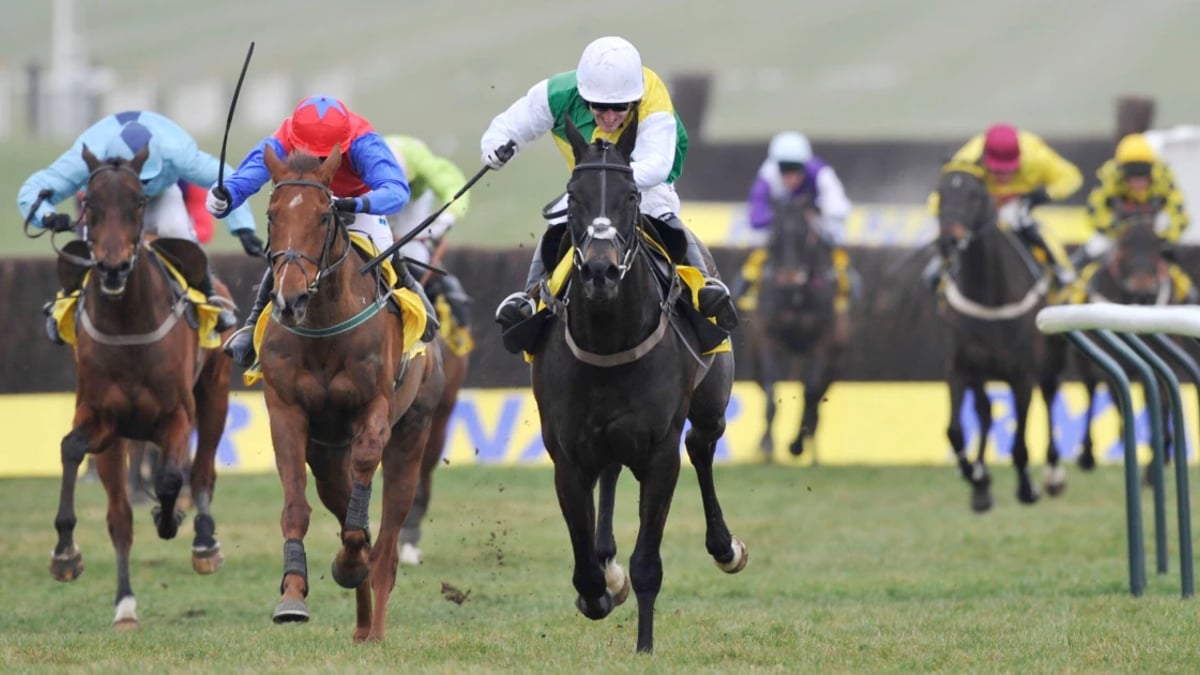 Cheltenham 2025: Ryanair Chase Trends You Should Not Ignore Cheltenham 2025: Ryanair Chase Trends You Should Not Ignore