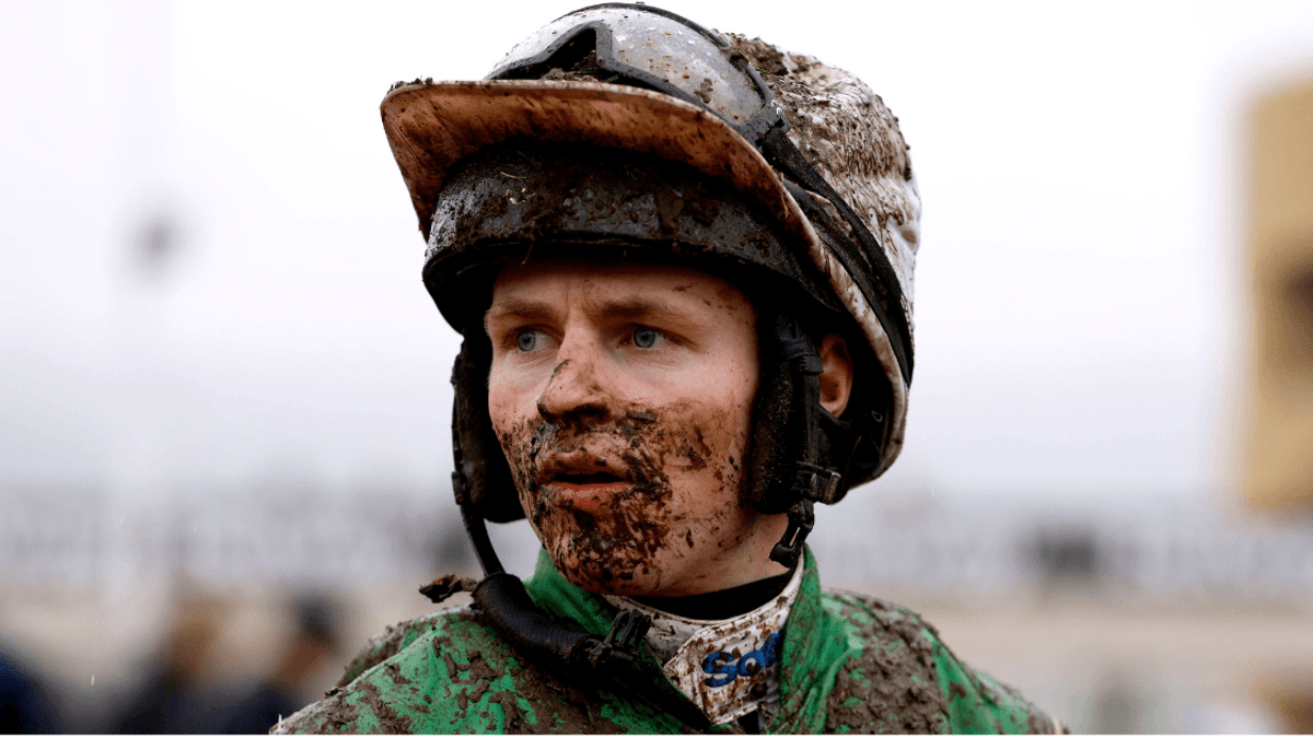 Sean O'Keeffe Booked Rides & Odds Sean O'Keeffe Booked Rides & Odds