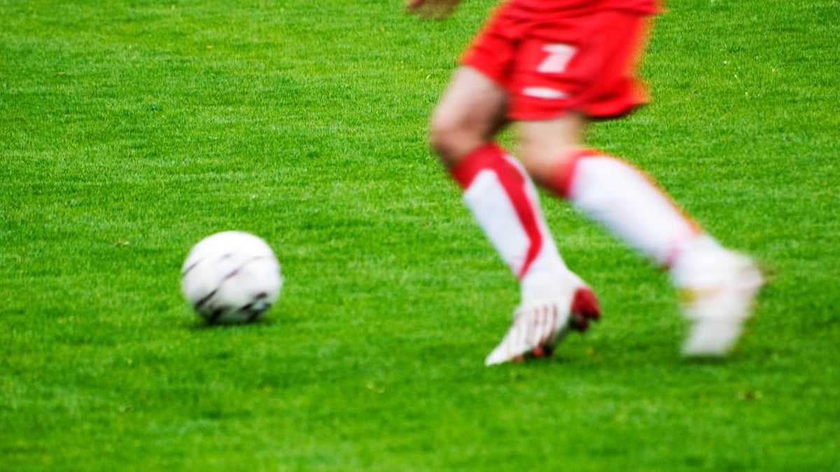 Ponturi Pariuri Sportive 20 Septembrie 2024 ponturi pariuri Liga 1 20 septembrie