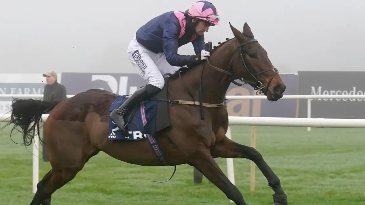 Cheltenham Festival 2025 Odds: Can Anything Beat Kopek Des Bordes? Cheltenham Festival 2025 Odds: Can Anything Beat Kopek Des Bordes?