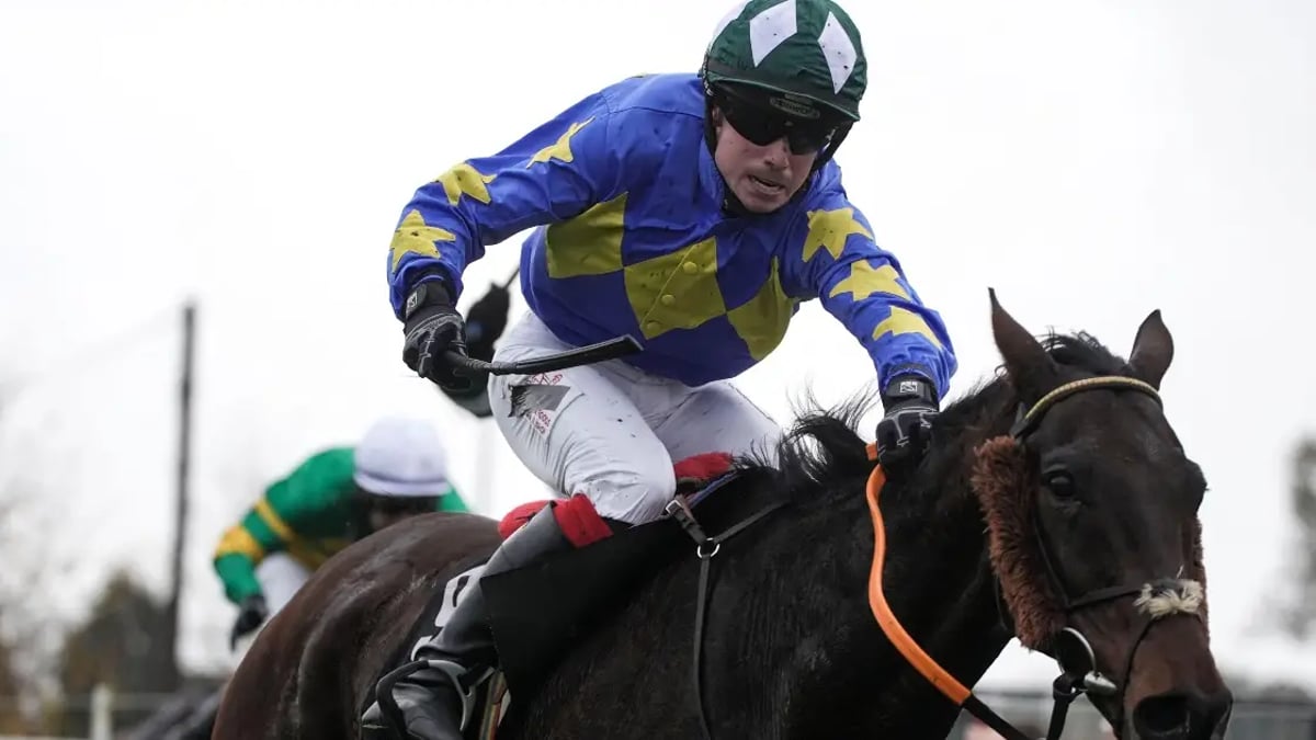 Horse Racing Tips: Tanya Stevenson's Selections For Saturday Horse Racing Tips: Tanya Stevenson's Selections For Saturday