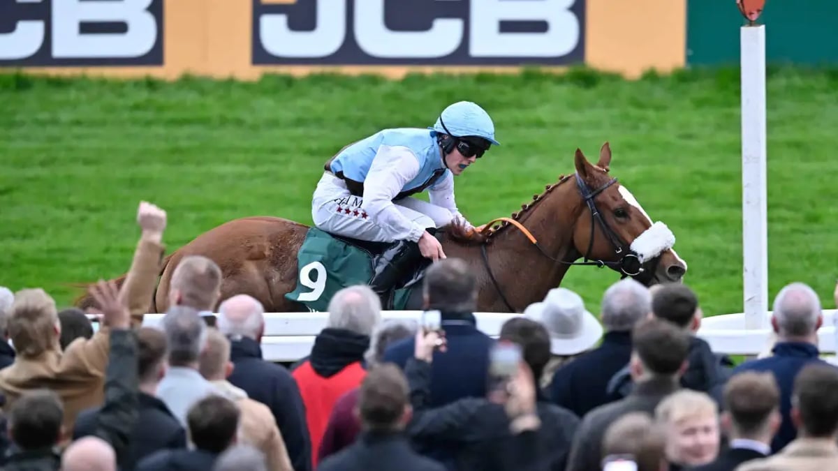 Horse Racing Tips: Tanya Stevenson's 3 Bets For Newcastle And Newbury On Saturday Horse Racing Tips: Tanya Stevenson's 3 Bets For Newcastle And Newbury On Saturday