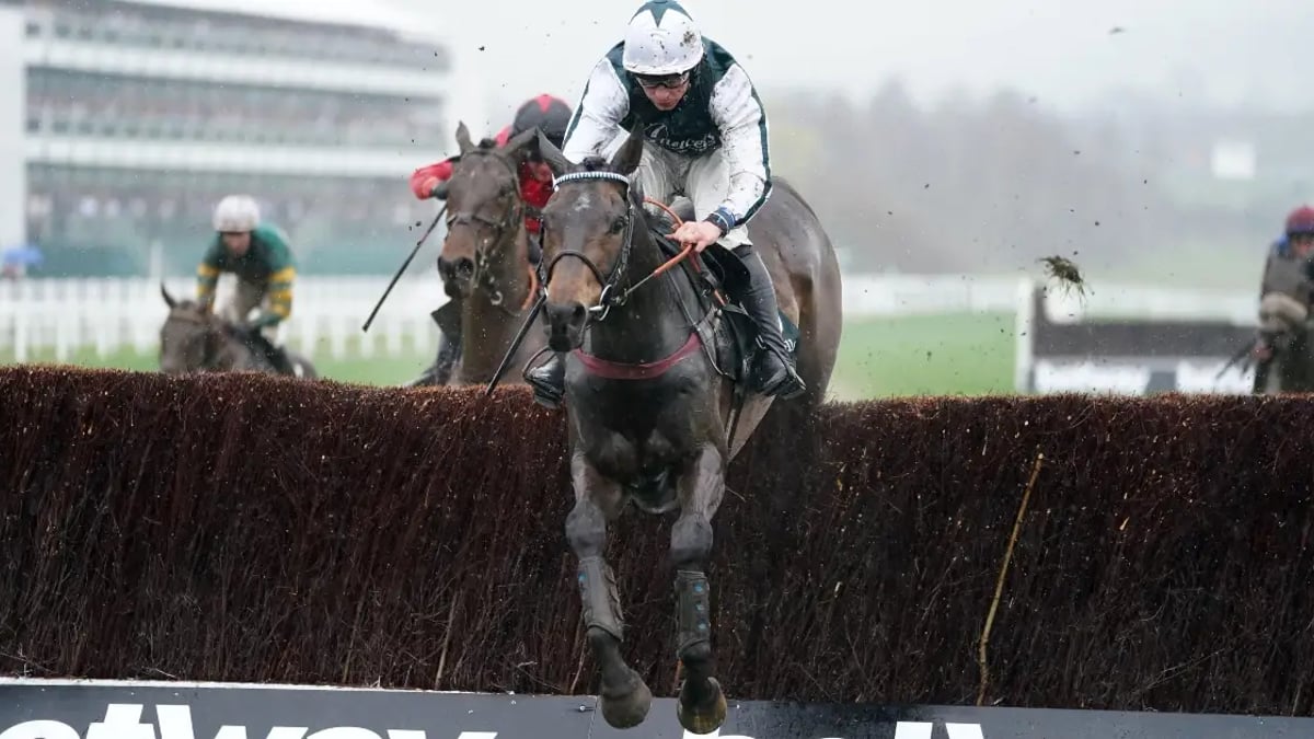 Horse Racing Tips: Tanya Stevenson's Selections For Cheltenham And Doncaster Horse Racing Tips: Tanya Stevenson's Selections For Cheltenham And Doncaster