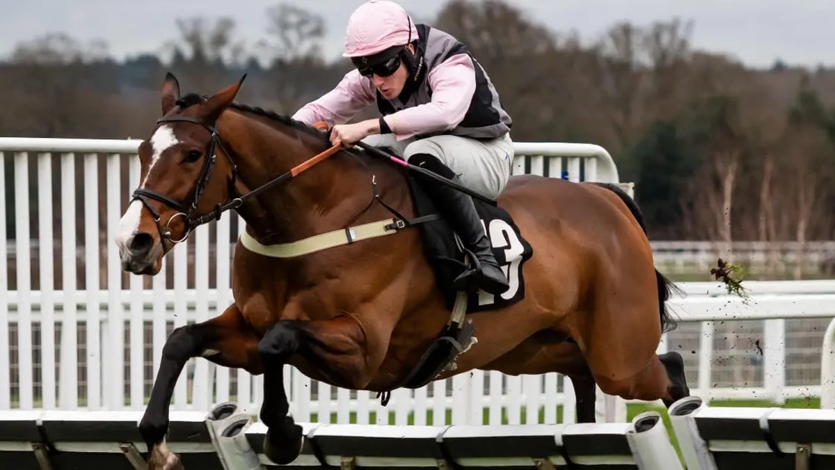 Horse Racing Tips: Tanya Stevenson's Selections For Saturday Horse Racing Tips: Tanya Stevenson's Selections For Saturday