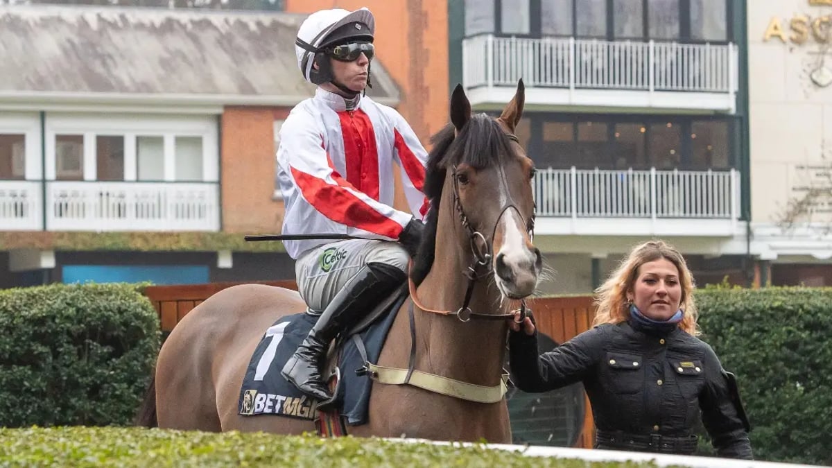 Horse Racing Tips: Tanya Stevenson's Selections For Saturday Horse Racing Tips: Tanya Stevenson's Selections For Saturday
